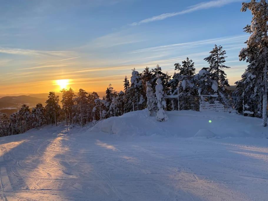 Modern Stuga Med Ski Lodge Kaensla Järvsö Exteriér fotografie